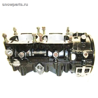 Картер двигателя Arctic Cat Bearcat 550/ ZR 580 3005-406/ 3003-928